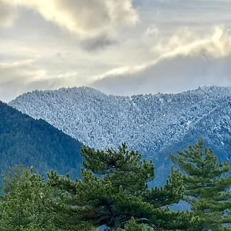 Mountain View Retreat - Free Pool And Sauna - And Golf شقة